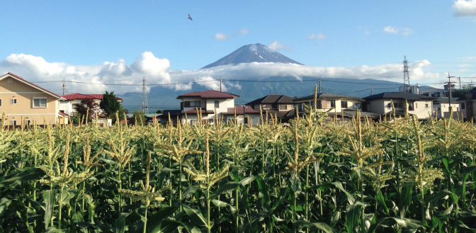 Screen Shot 2017-06-25 at 12.39.55.png