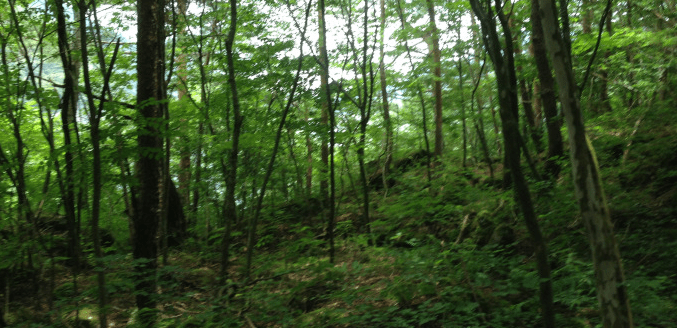 Screen Shot 2017-06-25 at 12.40.40.png