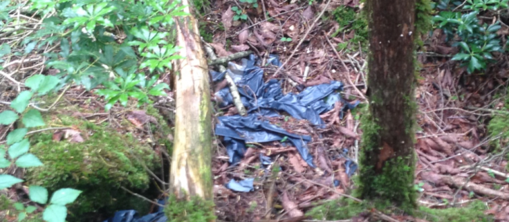 Screen Shot 2017-06-25 at 12.45.21.png