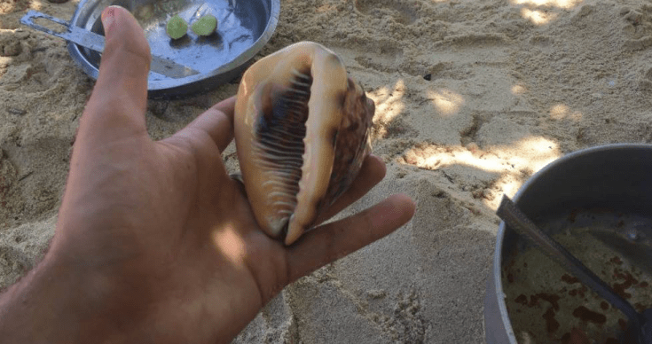 Screen Shot 2017-11-27 at 2.54.52 AM.png